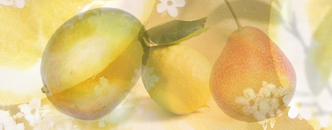 Citrus & Fruity Fragrances