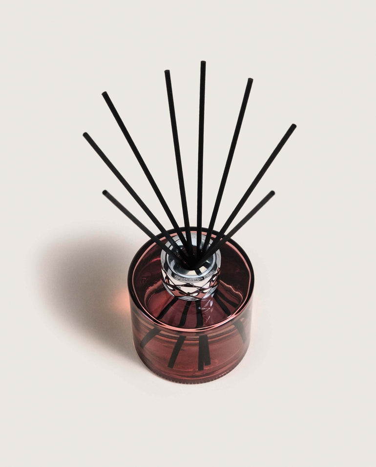 Joy Pre-filled Reed Diffuser with Agave Garden