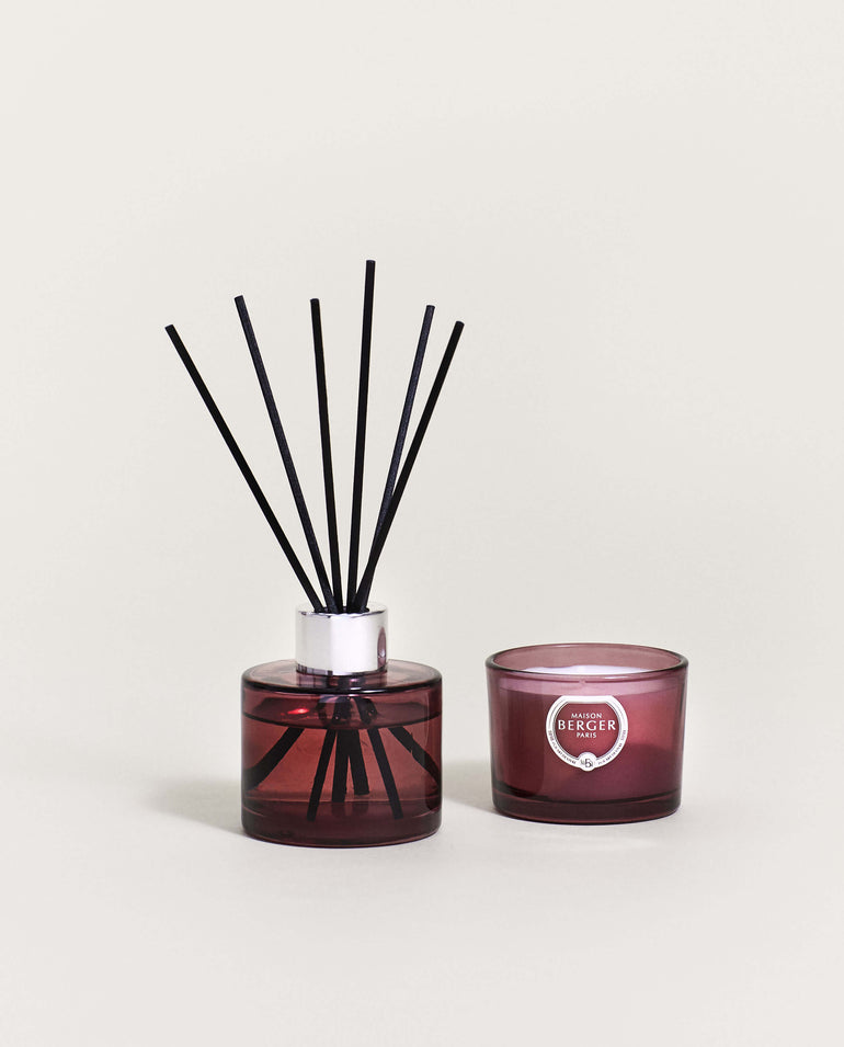 Black Angelica Mini Reed Diffuser + Mini Candle Gift Set - Duality Collection