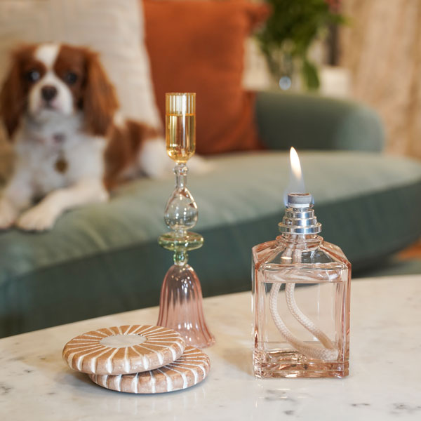 【正規品】 Lampe Bergerフレッシュユーカリ 正規品】 Lampe Bergerフレッシュユーカリ Amazon.co.jp: MAISON