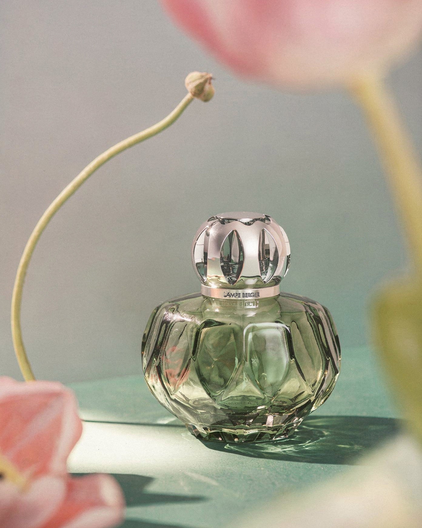 Lampe Berger 緑のシェル！アロマポット Rosalie Fragrance Lamp—Green – OFFICIAL LAMPE BERGER STORE USA
